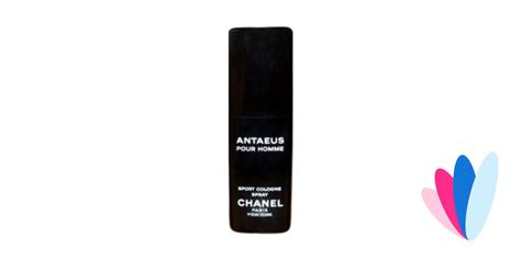 chanel antaeus sport|cheapest Chanel antaeus equivalent.